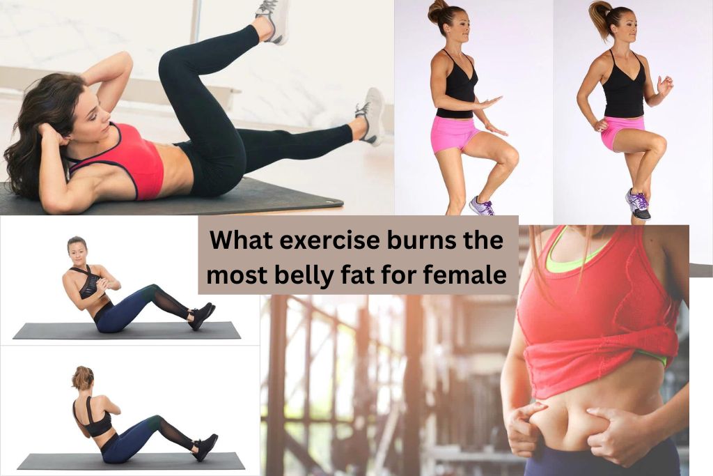 What exercise burns the most belly fat for female